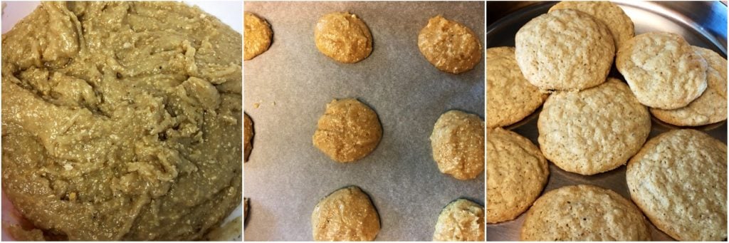 A close up of food, with Cookie and Oatmeal