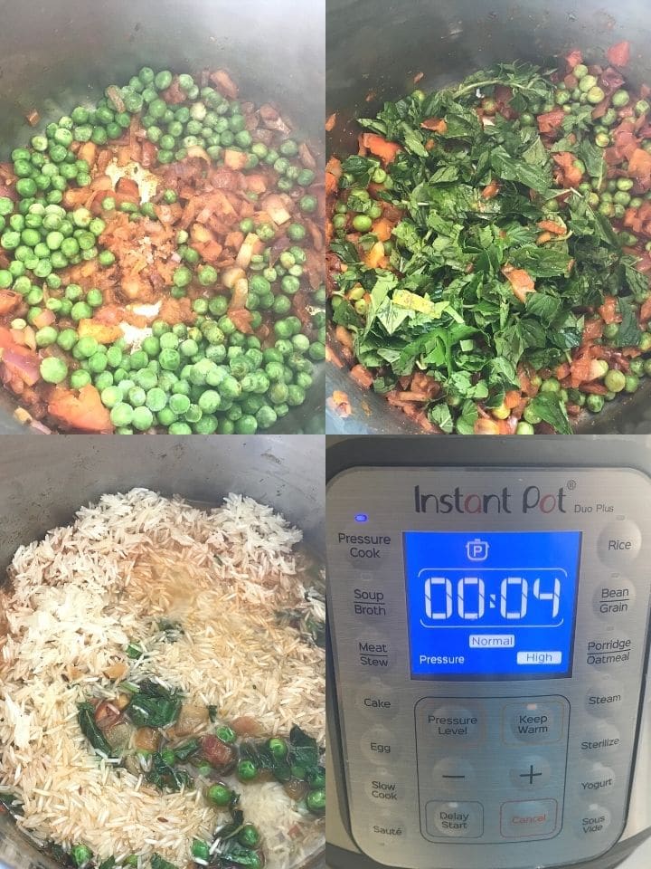 Different food placed inside the instant pot, with mint rice