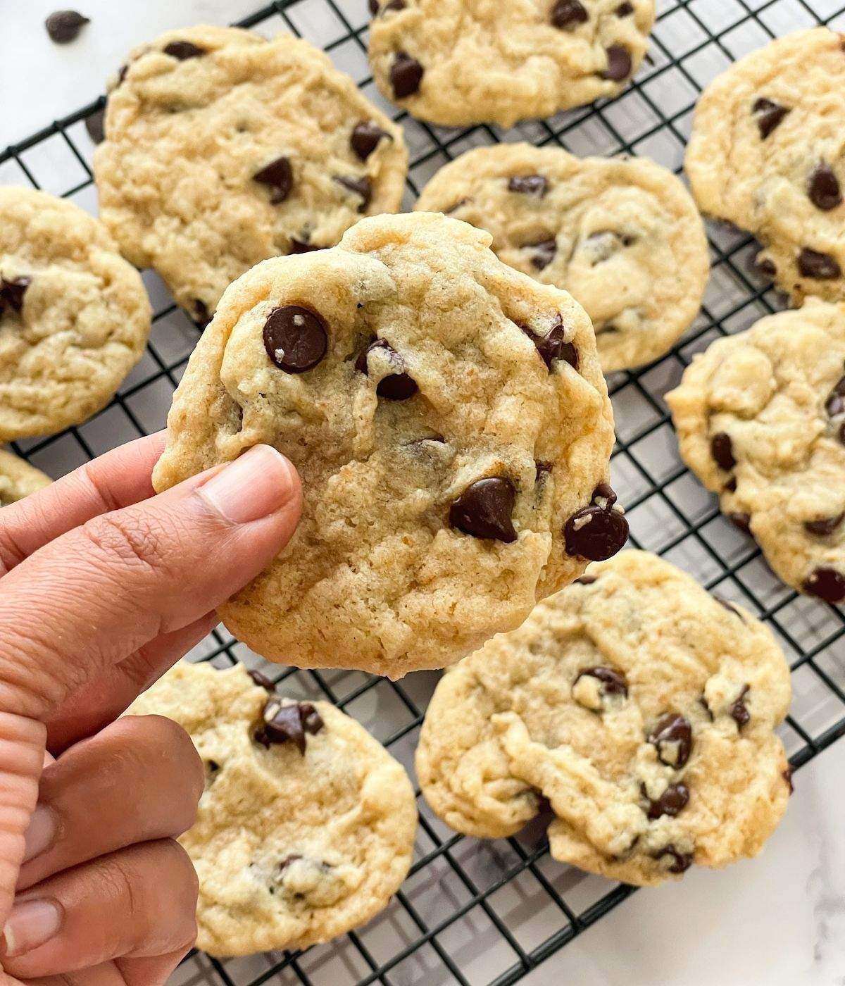 A women is holding vegan chocolate chip cookie.