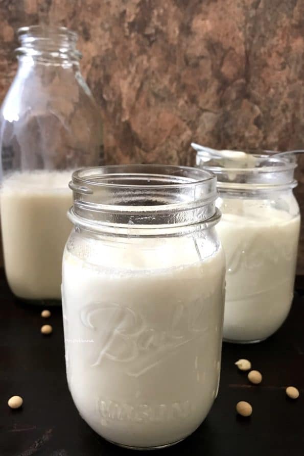 Homemade Soy Yogurt Recipe Simple Sumptuous Cooking