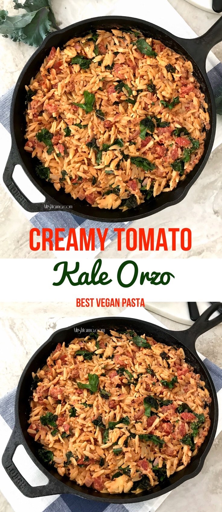 A pan filled with food, with Tomato and Orzo