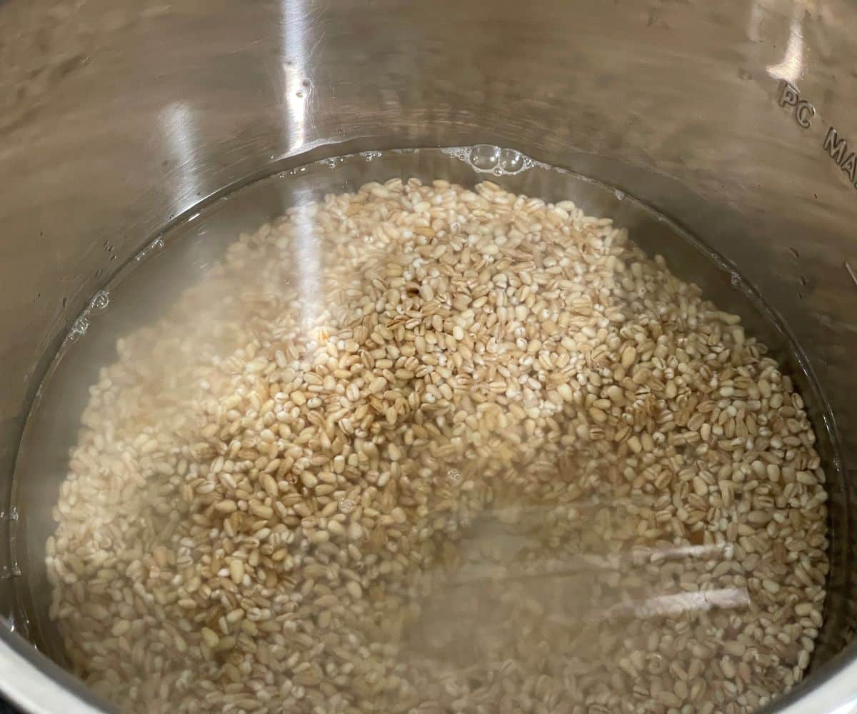 An instant pot is filled with barley and water.