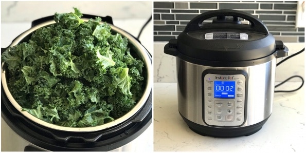 A bowl of Kale
