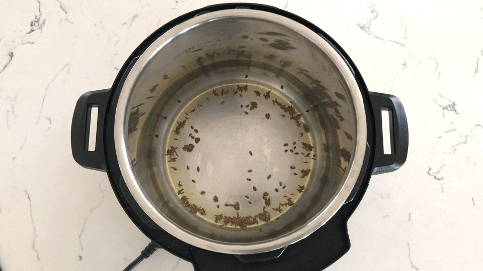 Instant Pot and Pressure cooker