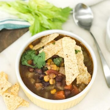 A bowl of vegan tortilla soup with chips on top