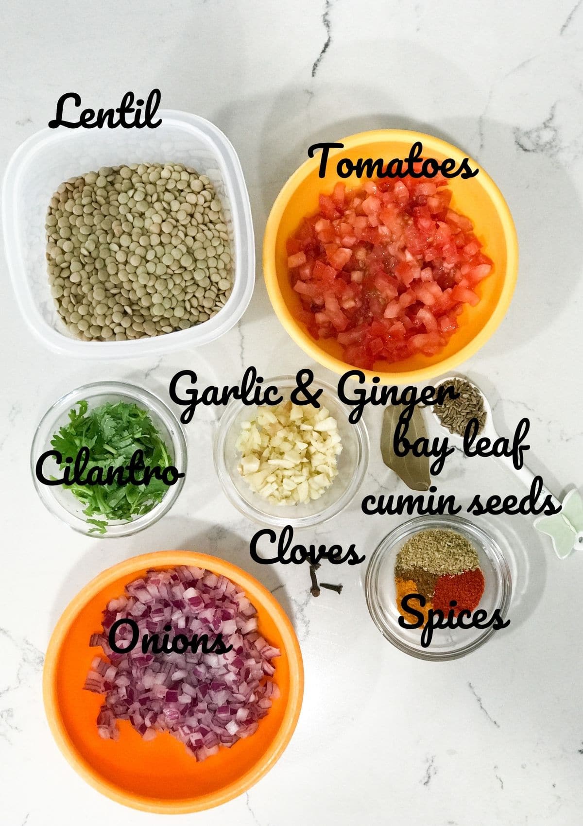 Ingredients are placed on the counter tops for lentil curry