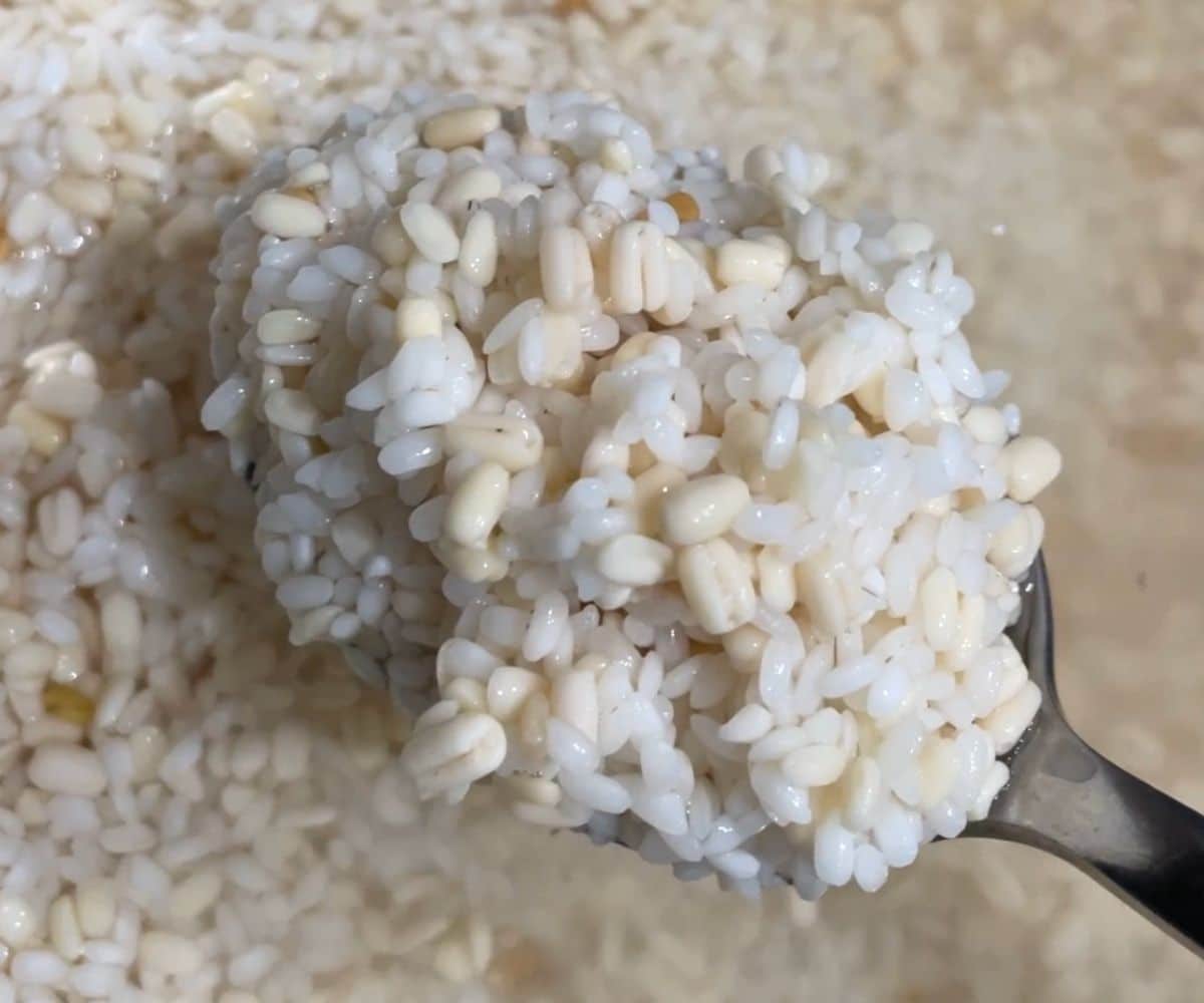 A bowl of soaked grains are on the table.