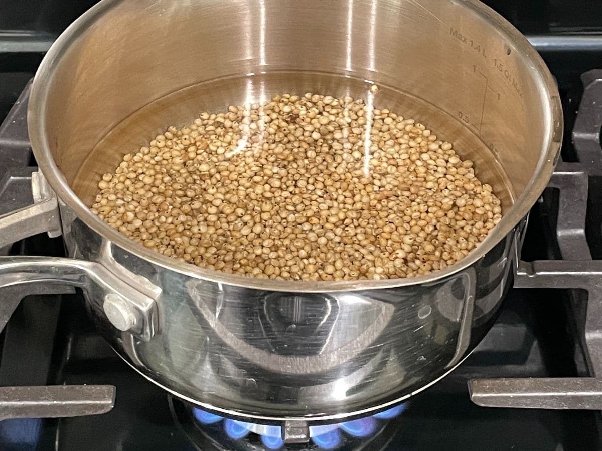 A pot is with water and sorghum millet over the heat