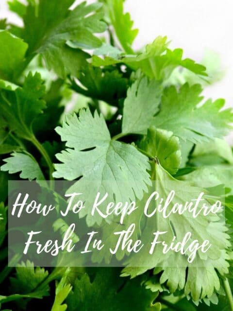 keeping cilantro fresh in the fridge.