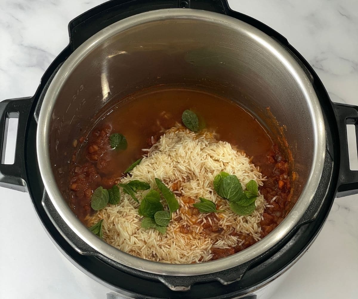 Instant pot tomato rice soup outlet