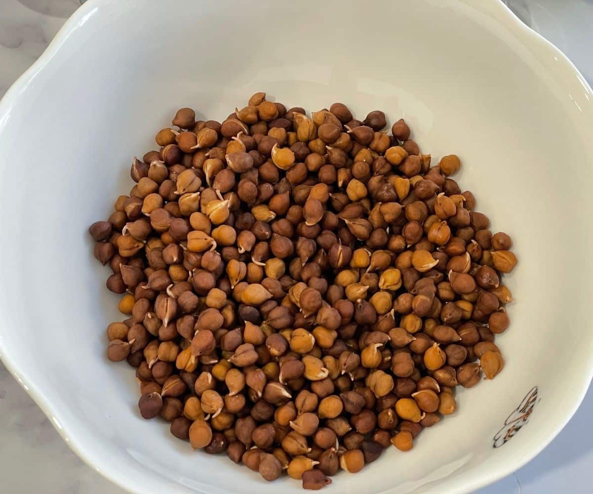 a bowl is with cooked black chana.