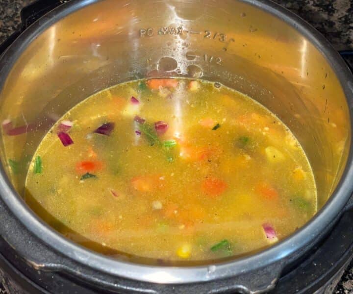 Instant Pot Oats Khichdi • Simple Sumptuous Cooking