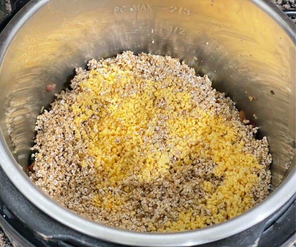 Instant Pot Oats Khichdi • Simple Sumptuous Cooking