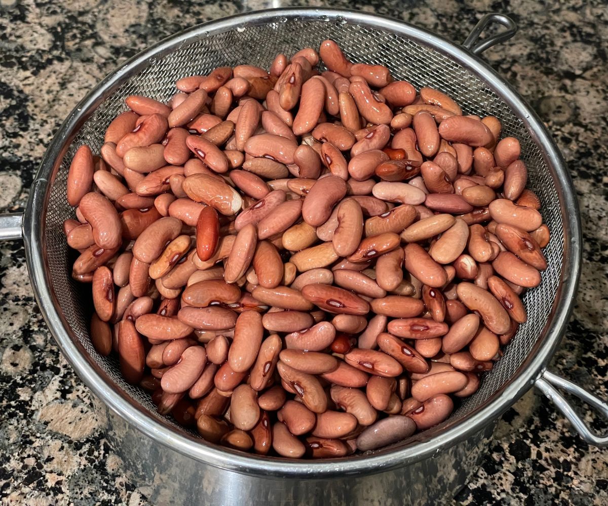 Drained soaked kidney beans on the strainer.