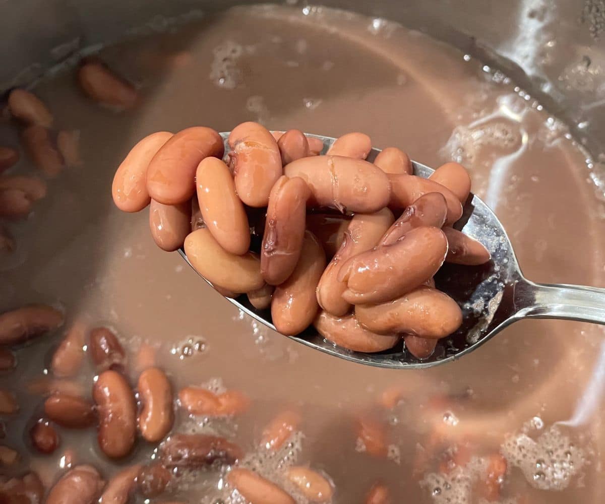 A spoon is with cooked Instant pot kidney beans.