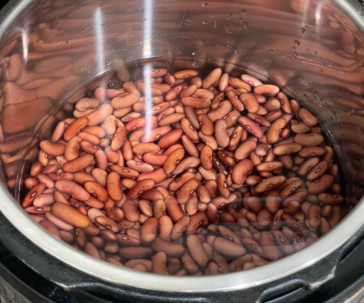 An instant pot is with soaked kidney beans and water.