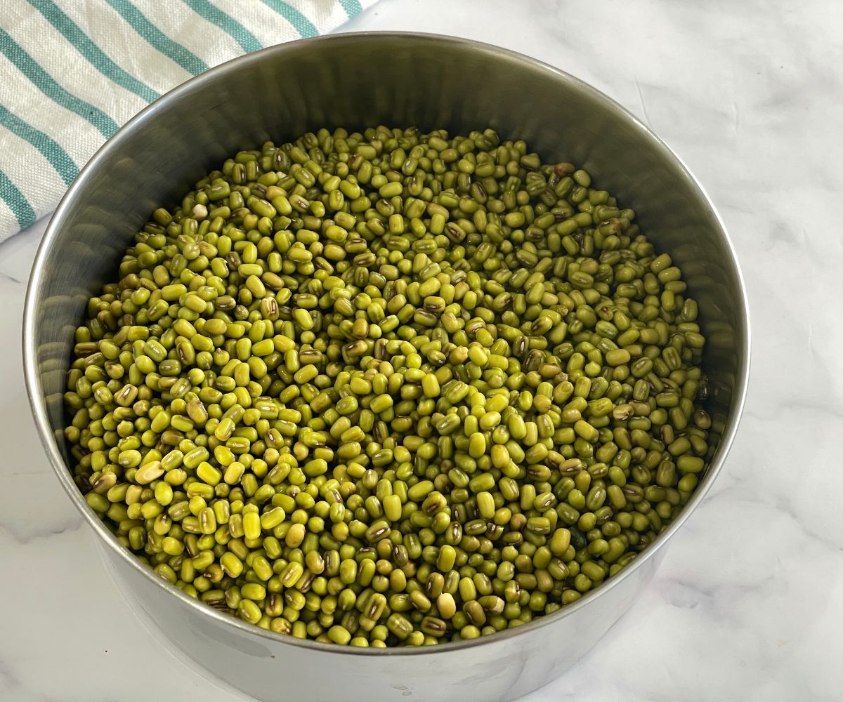 A bowl of soaked mung beans.