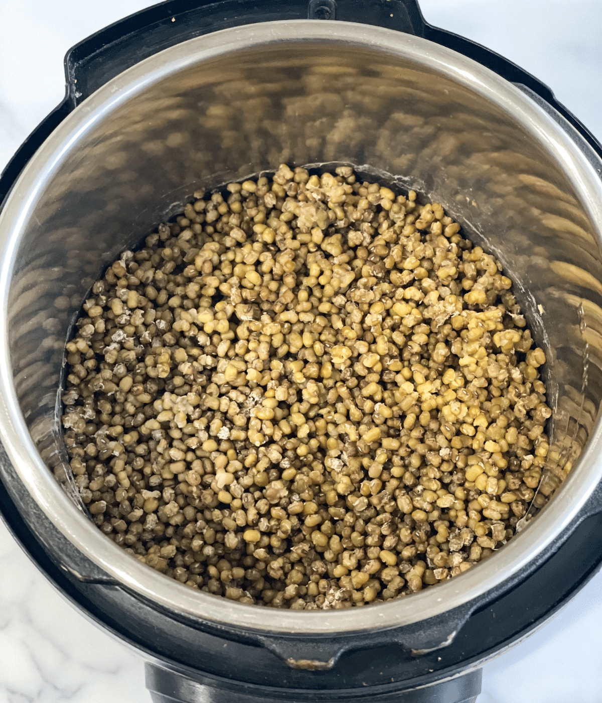 An instant pot has mung beans.