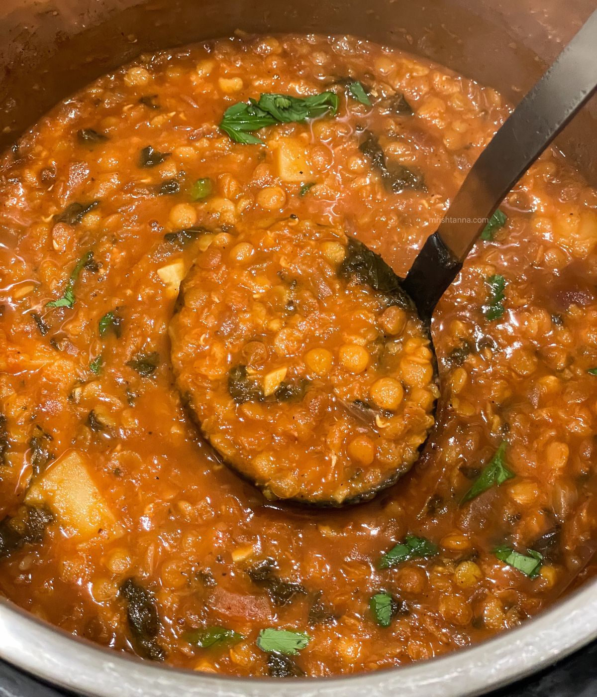 A ladle is full of vegan lentil soup.