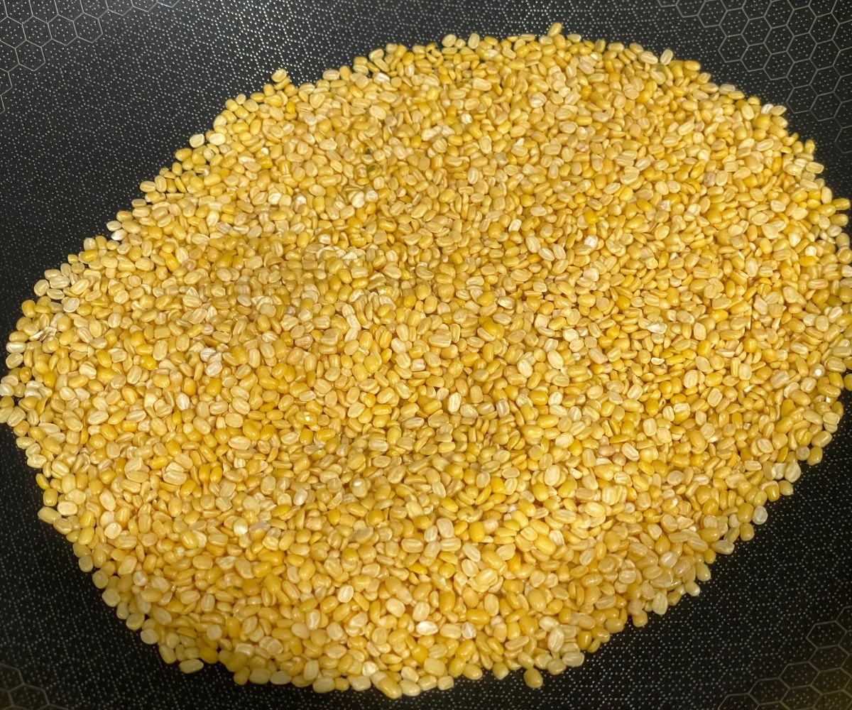 A pan has moong dal over stove top.