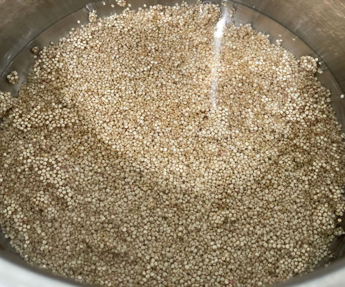 An instant pot has water and quinoa.