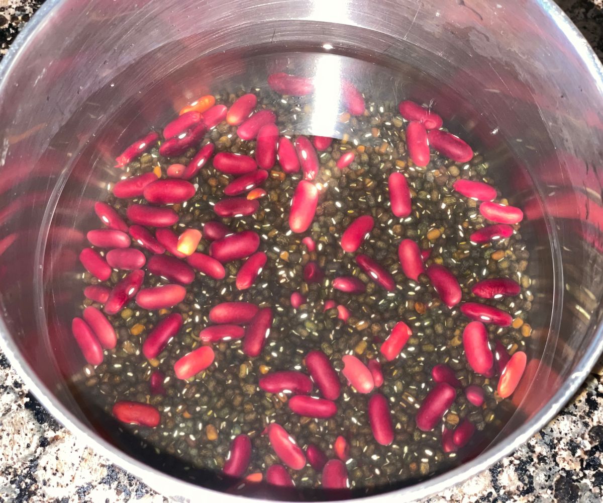 A bowl of water has soaked  black gram and kidney beans.