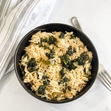 A bowl of kale rice is on the table.